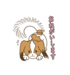 コーイケルホンディエ①♡Yusha Kennel（個別スタンプ：6）
