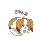 コーイケルホンディエ①♡Yusha Kennel（個別スタンプ：7）