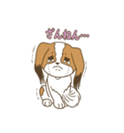 コーイケルホンディエ①♡Yusha Kennel（個別スタンプ：9）