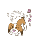 コーイケルホンディエ①♡Yusha Kennel（個別スタンプ：11）