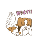 コーイケルホンディエ①♡Yusha Kennel（個別スタンプ：13）