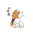 コーイケルホンディエ①♡Yusha Kennel（個別スタンプ：14）