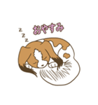 コーイケルホンディエ①♡Yusha Kennel（個別スタンプ：16）