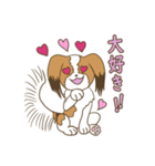 コーイケルホンディエ①♡Yusha Kennel（個別スタンプ：19）
