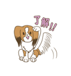 コーイケルホンディエ①♡Yusha Kennel（個別スタンプ：21）