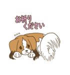 コーイケルホンディエ①♡Yusha Kennel（個別スタンプ：22）