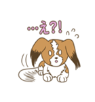 コーイケルホンディエ①♡Yusha Kennel（個別スタンプ：23）