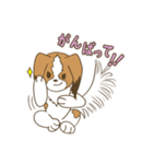 コーイケルホンディエ①♡Yusha Kennel（個別スタンプ：25）