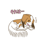 コーイケルホンディエ①♡Yusha Kennel（個別スタンプ：27）