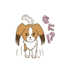 コーイケルホンディエ①♡Yusha Kennel（個別スタンプ：31）