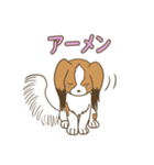コーイケルホンディエ①♡Yusha Kennel（個別スタンプ：32）