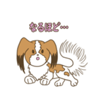 コーイケルホンディエ①♡Yusha Kennel（個別スタンプ：34）