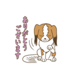 コーイケルホンディエ①♡Yusha Kennel（個別スタンプ：37）