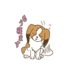 コーイケルホンディエ①♡Yusha Kennel（個別スタンプ：39）