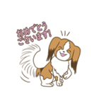 コーイケルホンディエ①♡Yusha Kennel（個別スタンプ：40）