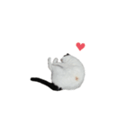 お兄ちゃんの可愛いねこたち（個別スタンプ：1）