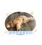 こはなとごろうのスタンプ（個別スタンプ：2）