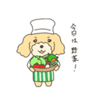 料理犬トイプードル（個別スタンプ：3）