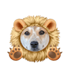 保護犬 諭吉（個別スタンプ：7）