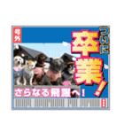 ジジババビビニコルウの第13弾（個別スタンプ：40）