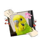 ゆきちゃん宅スタンプ33（個別スタンプ：3）