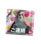 ゆきちゃん宅スタンプ33（個別スタンプ：5）