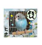 ゆきちゃん宅スタンプ33（個別スタンプ：7）