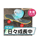 ゆきちゃん宅スタンプ33（個別スタンプ：12）