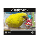 ゆきちゃん宅スタンプ33（個別スタンプ：18）