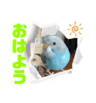 ゆきちゃん宅スタンプ33（個別スタンプ：20）