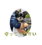 まめしーむぎ（個別スタンプ：3）
