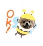 まめしーむぎ（個別スタンプ：15）