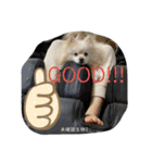 まめしーむぎ（個別スタンプ：18）