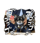 まめしーむぎ（個別スタンプ：21）