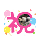 まめしーむぎ（個別スタンプ：22）