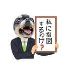 まめしーむぎ（個別スタンプ：23）