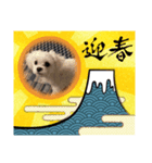 アルとリン（個別スタンプ：7）