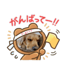 てんてんの日常〜Part4〜（個別スタンプ：34）