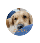 てんてんの日常〜Part4〜（個別スタンプ：38）