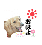 おきくスタンプ★（個別スタンプ：1）