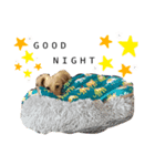 おきくスタンプ★（個別スタンプ：6）