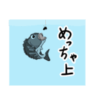 黒鯛落とし込み釣りヘチ釣り前打ち（個別スタンプ：21）