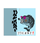 黒鯛落とし込み釣りヘチ釣り前打ち（個別スタンプ：31）