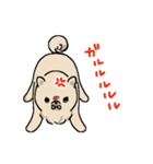 ポメラニアンのぐりちゃん（個別スタンプ：5）