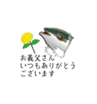 動くこどもの日母の日父の日敬老の日ブリ（個別スタンプ：13）