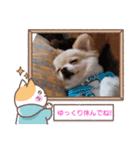 LUNA＆SEAでーす！！お仕事何でも会話～（個別スタンプ：3）