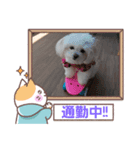 LUNA＆SEAでーす！！お仕事何でも会話～（個別スタンプ：4）