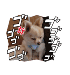 LUNA＆SEAでーす！！お仕事何でも会話～（個別スタンプ：7）