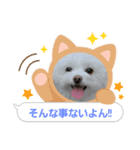 LUNA＆SEAでーす！！毎日会話だワン！！（個別スタンプ：1）