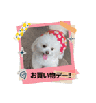 LUNA＆SEAでーす！！毎日会話だワン！！（個別スタンプ：2）